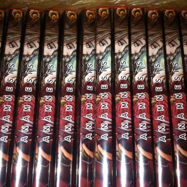 anamnesis dvd visual novel noxice