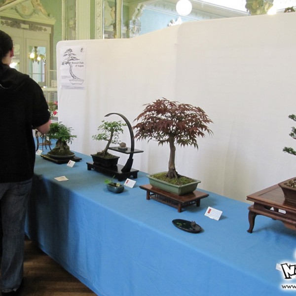 Lire le compte-rendu intégral : <a href="https://www.no-xice.com/album/soleil-levant-1/">cliquez ici !</a>