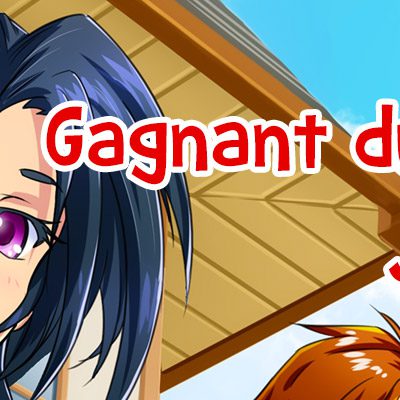 japanantes gagnant concours 2017