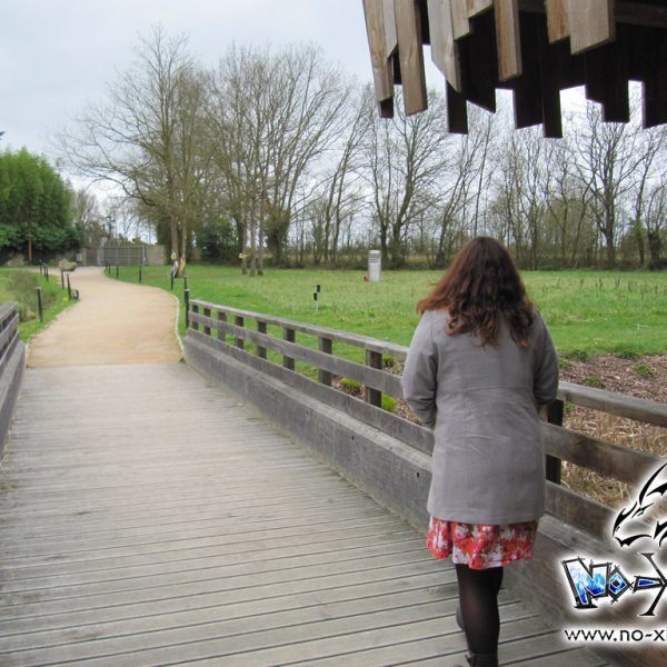cours dessin manga st étienne montluc