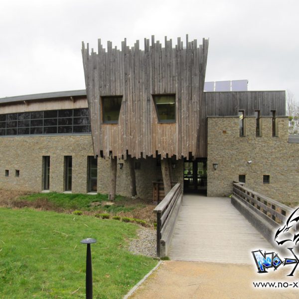 cours dessin manga st étienne montluc