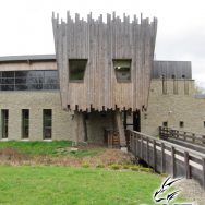 cours dessin manga st étienne montluc