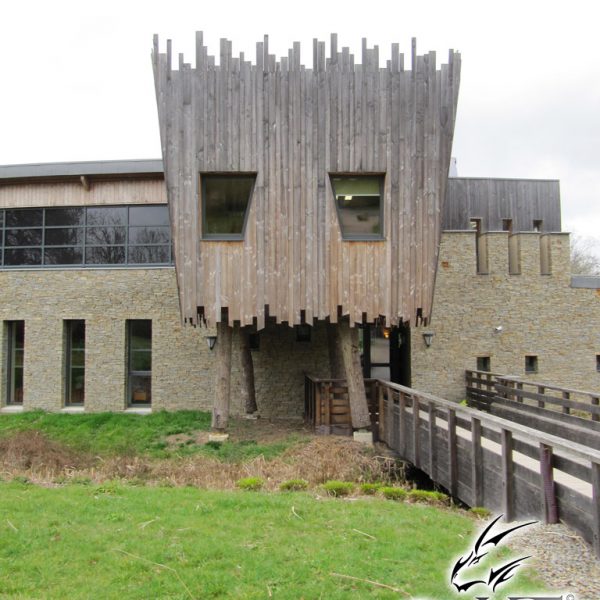 cours dessin manga st étienne montluc