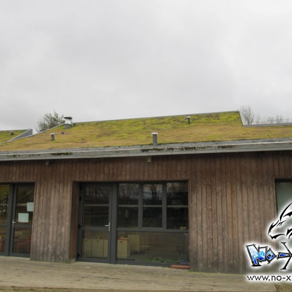 cours dessin manga st étienne montluc