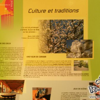 atelier-manga-belligne-1-00017