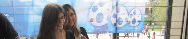 ban-nbf-2017 nihon breizh festival 2017 convention manga Rennes