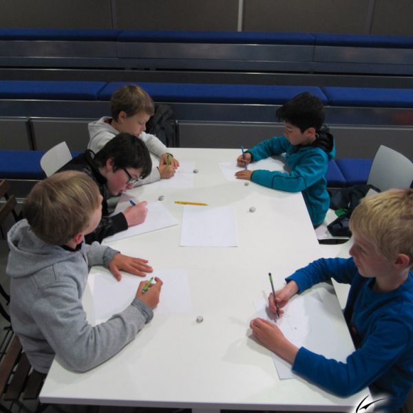 Lire le compte-rendu intégral : <a href="https://www.no-xice.com/album/atelier-manga-orvault-2/">cliquez ici !</a> Atelier de dessin manga à la médiathèque Ormedo à Orvault en 2014, par No-Xice©