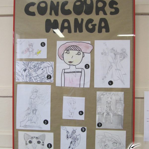 Atelier de dessin manga à Trignac, bibliothèque municipale en 2012, par le fanzine No-Xice©