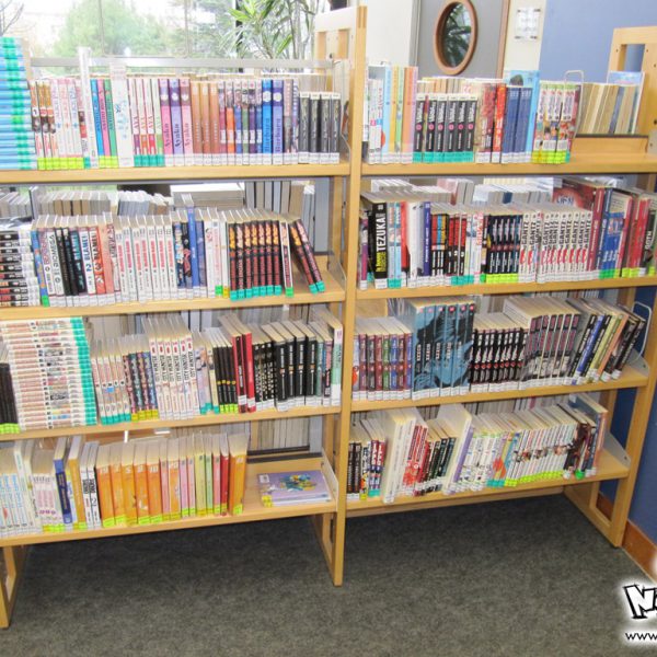 Apprendre à dessiner manga à Gonfreville l'Orcher par l'équipe No-Xice©