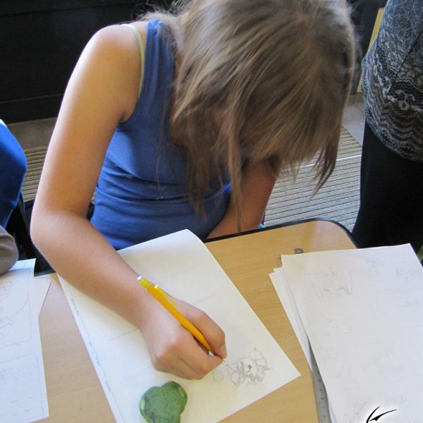 atelier-manga-gonfreville-orcher-2-00116