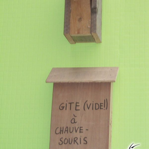atelier-manga-gonfreville-orcher-3-00047