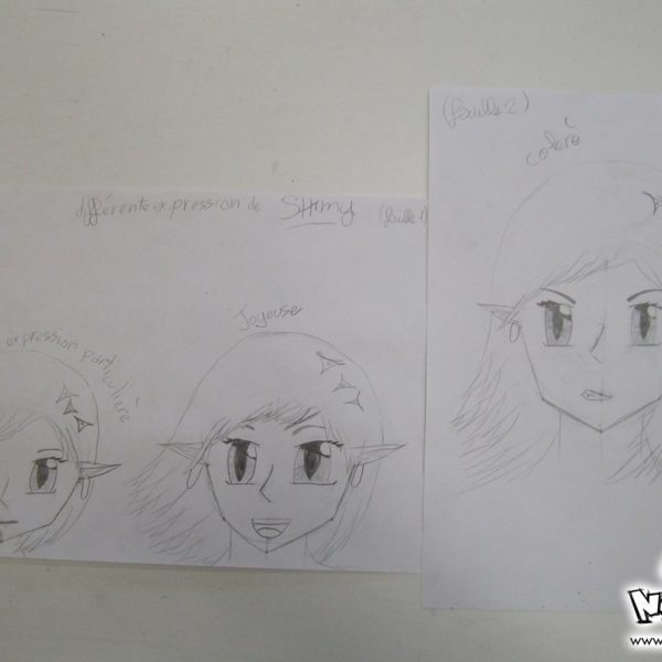 atelier-manga-gonfreville-orcher-5-00082