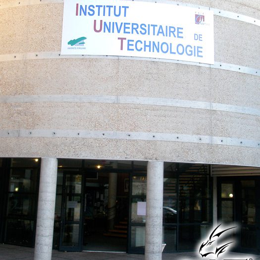 Salon manga Chartres Manga 2 en 2009 à Chartres, équipe No-Xice©