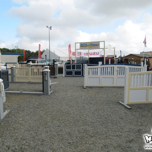 conference-manga-saint-brieuc-2-00069