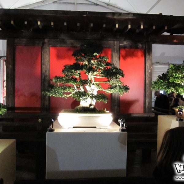 conference-manga-saint-brieuc-2-00081