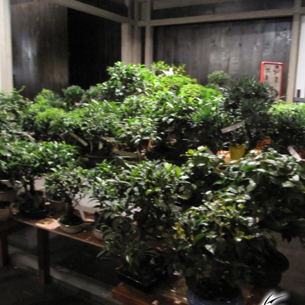 conference-manga-saint-brieuc-2-00093