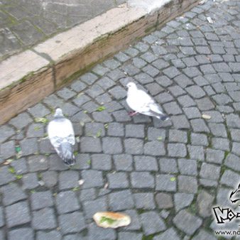 festival-bd-angouleme-35-00024