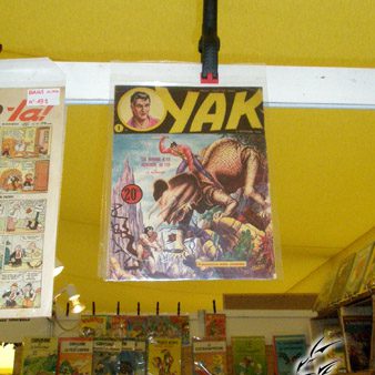 festival-bd-angouleme-35-00055