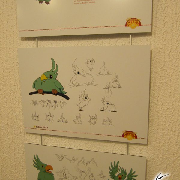 festival-bd-angouleme-40-00106