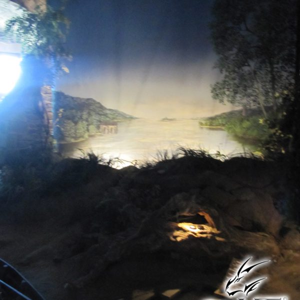 cours-dessin-manga-oudon-2-00011