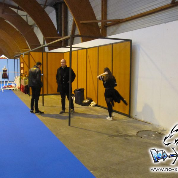 Lire le compte-rendu intégral : <a href="https://www.no-xice.com/album/sugoi-1/">cliquez ici !</a> Convention manga Sugoi! 2017 | Rennes | No-Xice©