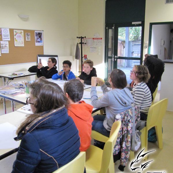 atelier-dessiner-manga-chavagne-1-00009