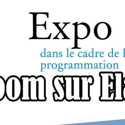 zoom elairin noxice exposition luce courville nantes