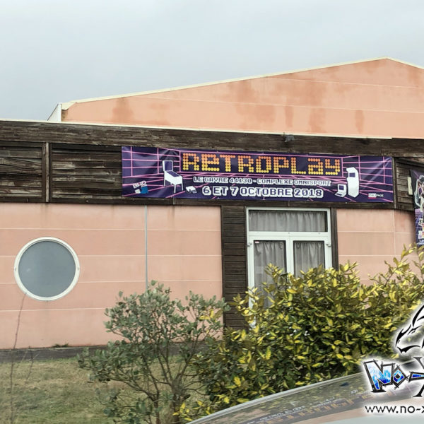 Lire le compte-rendu intégral : <a href="https://www.no-xice.com/album/retroplay-2018/">cliquez ici !</a> Retroplay 2018 Gâvre Arcade Flipper Cosplay